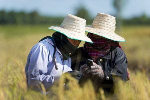 Farmers using Technology