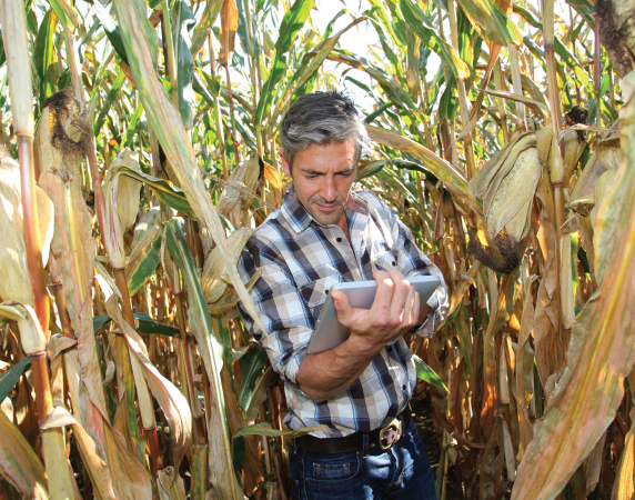 CIO of the Digital Age: Revolutionizing Agriculture With Technology