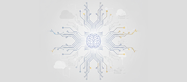 Continuous Learning & Insights